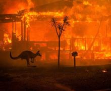 Bushfires Photograph
