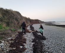 Pebbles 4