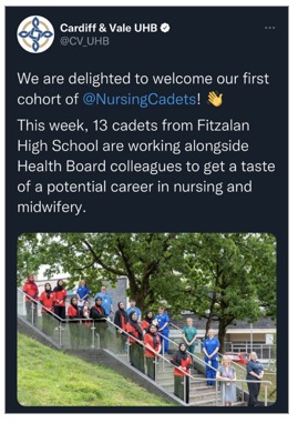 Royal College Of Nursing, Nursing Cadet Scheme - News Blog - Fitzalan ...