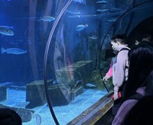 Thumbnail IMG 6822