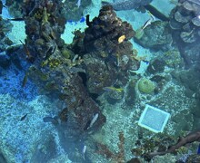 Thumbnail IMG 6835