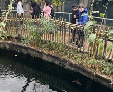 Thumbnail IMG 6836