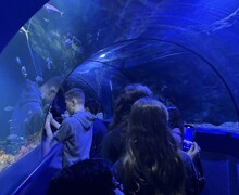 Thumbnail IMG 6843 (002)