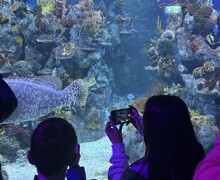 Thumbnail IMG 6850 (002)