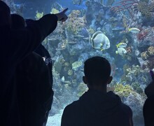 Thumbnail IMG 6853 (002)