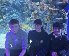 Thumbnail IMG 6855 (002)