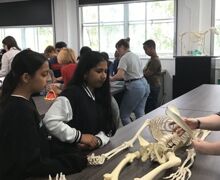 IMG 0191