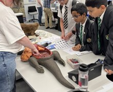 Picture18