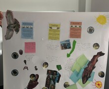 Processed 8CF522BC 7AC2 4924 85E6 2E0B93B29AC3 1 1