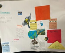 Processed A798638D E105 41CB 9961 950B18AE6792 2