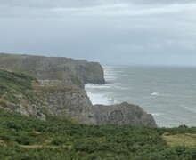 IMG 0134 (002)