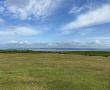 IMG 0145 (003)
